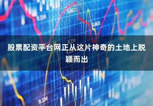 股票配资平台网正从这片神奇的土地上脱颖而出