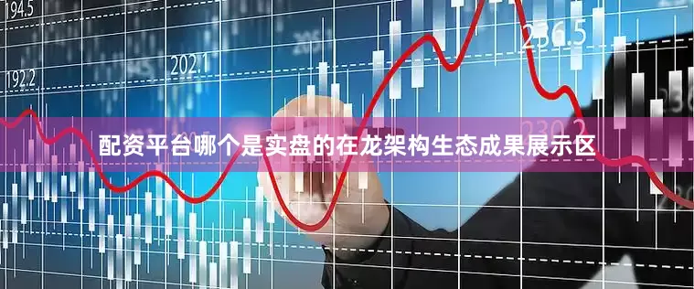 配资平台哪个是实盘的　　在龙架构生态成果展示区