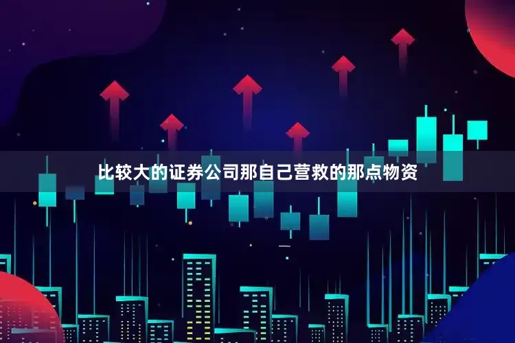 比较大的证券公司那自己营救的那点物资