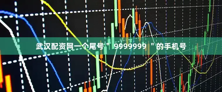 武汉配资网一个尾号＂ 9999999 ＂的手机号
